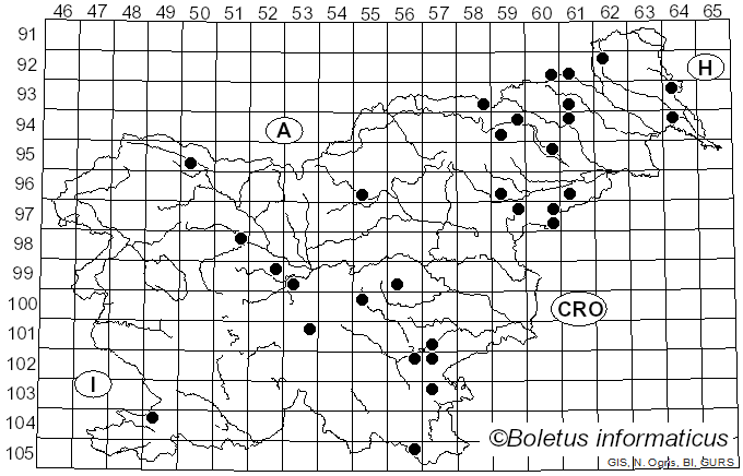 <i>Coriolopsis gallica</i> (Fr.) Ryvarden (1973)