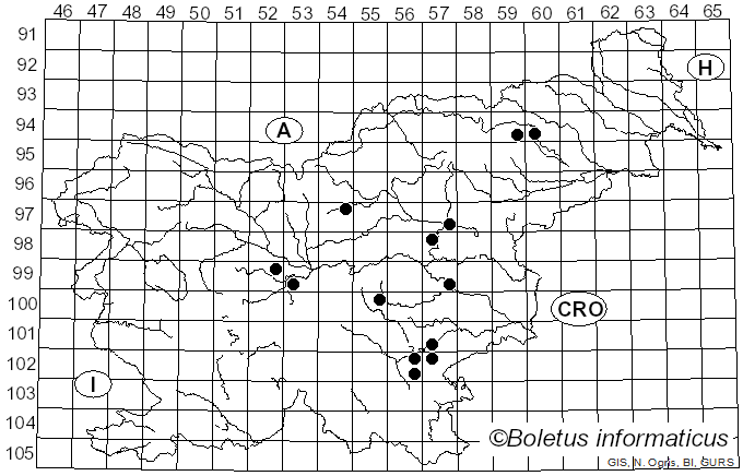 <i>Lentinula edodes</i> (Berk.) Pegler (1976)