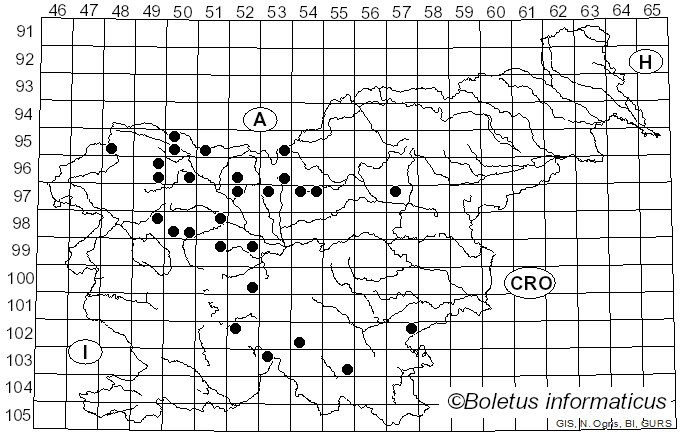 <i>Melanoleuca substrictipes</i> Kühner (1978)