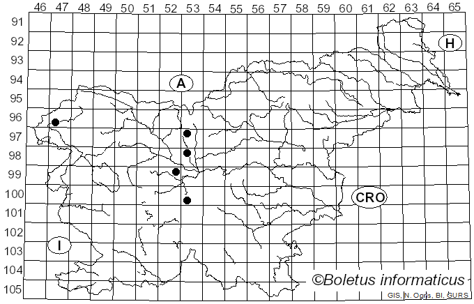 <i>Cribraria vulgaris</i> Schrad. (1797)