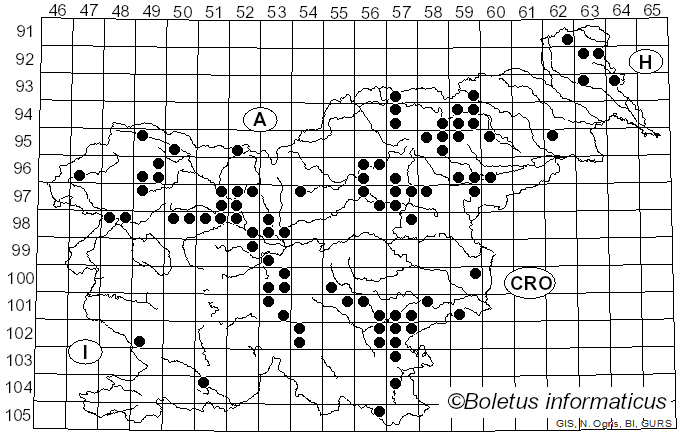 <i>Thelephora terrestris</i> Ehrh. (1787)