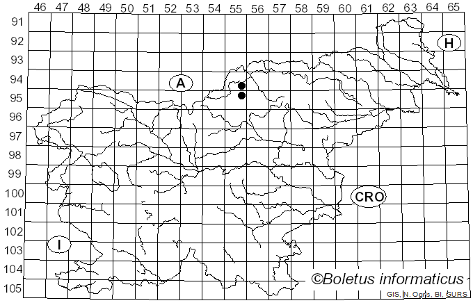 <i>Nematostoma parasiticum</i> (R. Hartig) M.E. Barr (1997)
