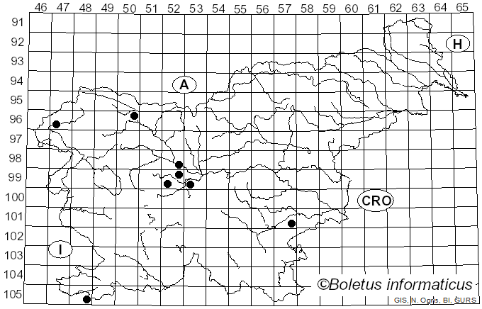 <i>Gymnosporangium sabinae</i> (Dicks.) G. Winter (1884)