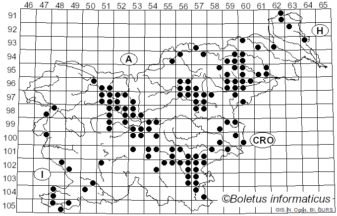 <i>Clathrus archeri</i> (Berk.) Dring (1980)