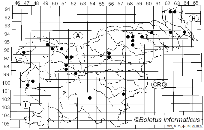 <i>Cudoniella</i> Sacc. (1889)