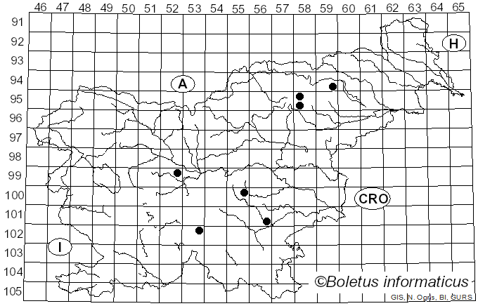 <i>Suillus granulatus</i> f. <i>marchandii</i> G. Moreno & Heykoop (1994)