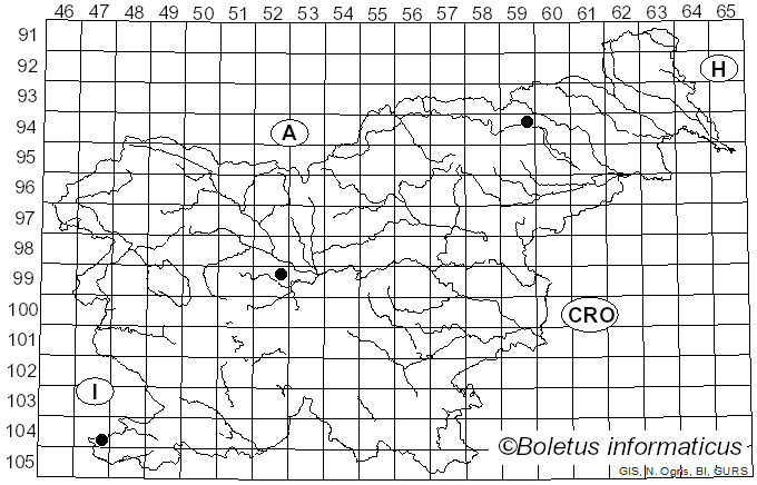 <i>Suillus mediterraneensis</i> (Jacquet. & J. Blum) Redeuilh (1992)