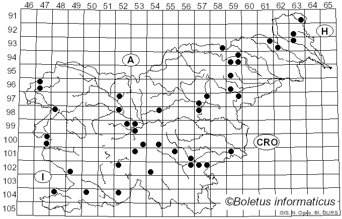 <i>Entoloma lividoalbum</i> (Kühner & Romagn.) M.M. Moser (1978)