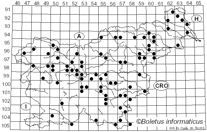 <i>Stemonitis</i> Gled. (1753)