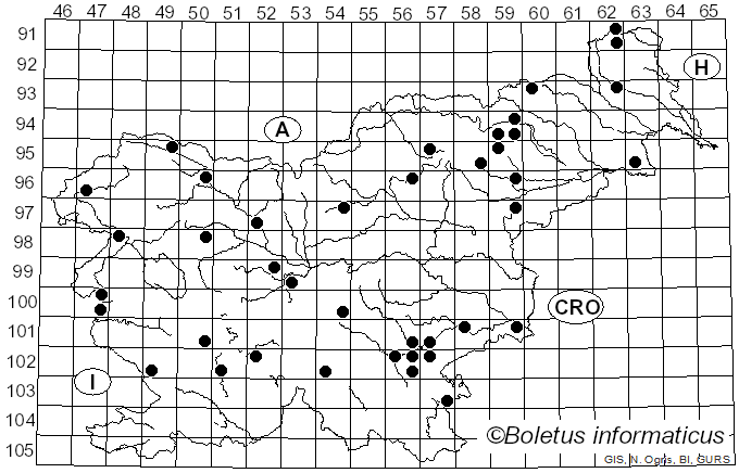 <i>Ganoderma adspersum</i> (Schulzer) Donk (1878)