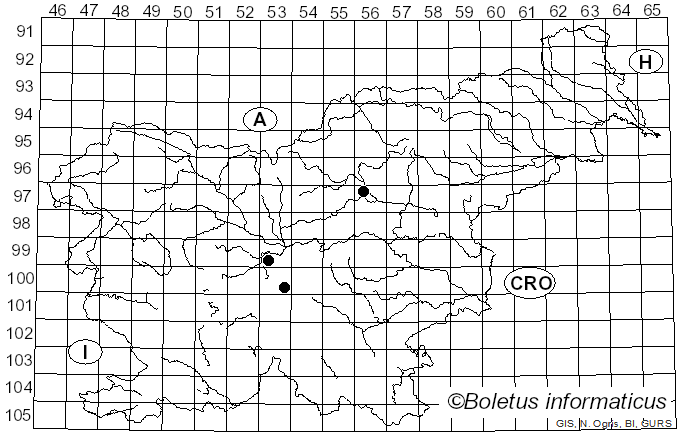 <i>Marasmius splachnoides</i> (Hornem.) Fr. (1838)