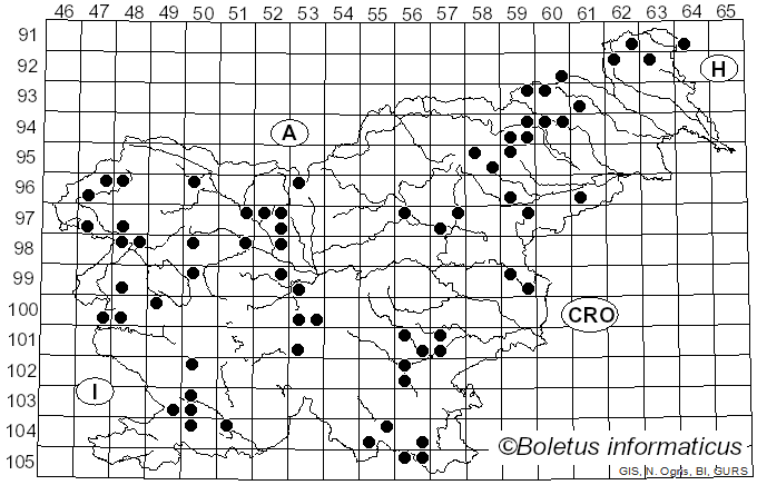 <i>Plicaturopsis</i> D.A. Reid (1964)