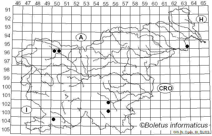 <i>Dacryobolus</i> Fr. (1849)