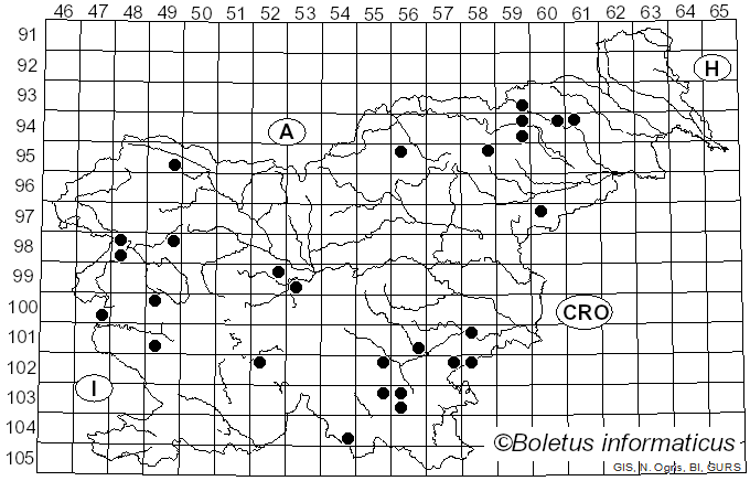 <i>Cylindrobasidium evolvens</i> (Fr.) Jülich (1974)
