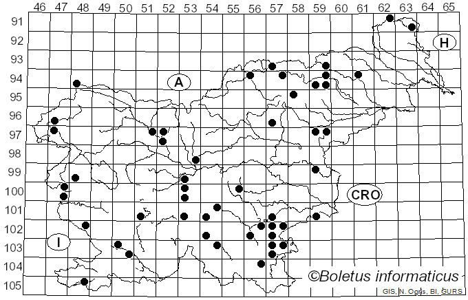 <i>Leccinum aurantiacum</i> (Bull.) Gray (1821)