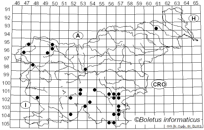 <i>Rubroboletus rubrosanguineus</i> (Cheype) Kuan Zhao & Zhu L. Yang (2014)