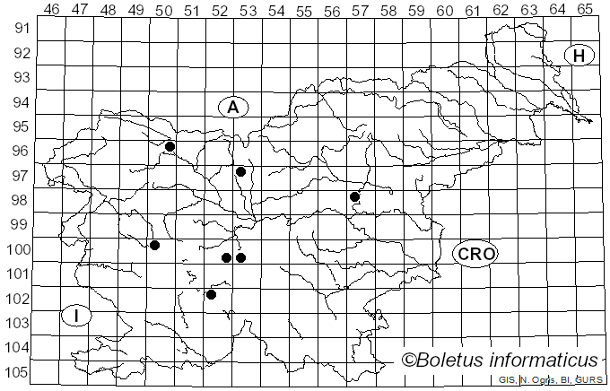 <i>Mycosphaerella podagrariae</i> (Fr.) Petr. (1921)