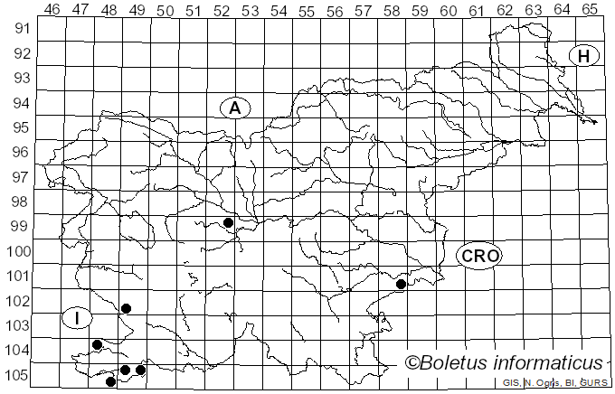 <i>Tuber magnatum</i> Picco (1788)