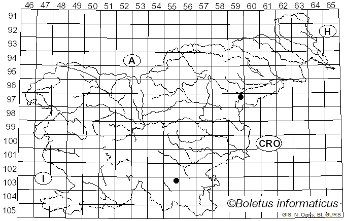 <i>Ceriporia rhodella</i> (Fr.) Donk