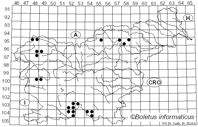 <i>Ochrolechia szatalaensis</i> Verseghy (1958)
