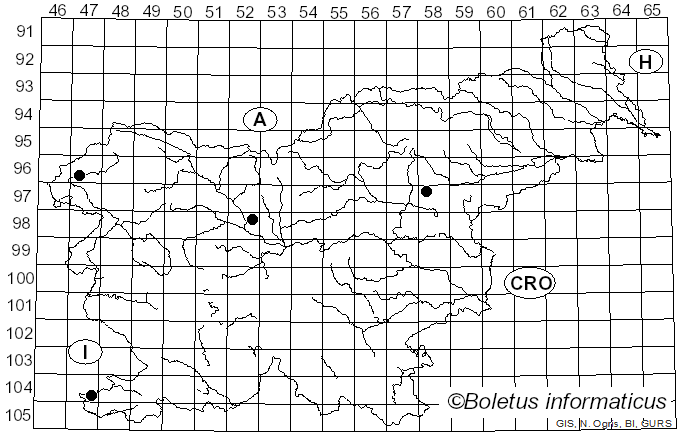 <i>Coprinellus flocculosus</i> (DC.) Vilgalys, Hopple & Jacq. Johnson (2001)