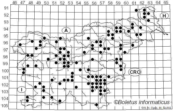 <i>Clavulina cinerea</i> (Bull.) J. Schröt. (1888)