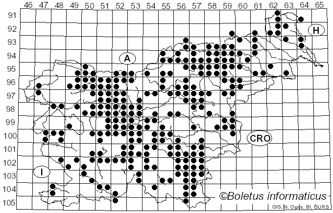 <i>Neoboletus erythropus</i> (Pers.) C. Hahn (2015)