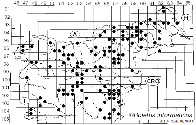 <i>Russula sanguinaria</i> (Schumach.) Rauschert (1989)