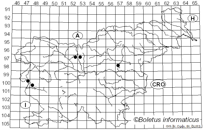 <i>Puccinia hieracii</i> var. <i>hieracii</i> (Röhl.) H. Mart. (1817)