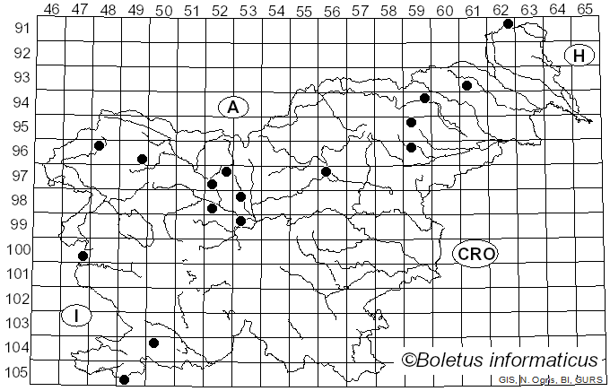 <i>Reticularia</i> Bull. (1788)