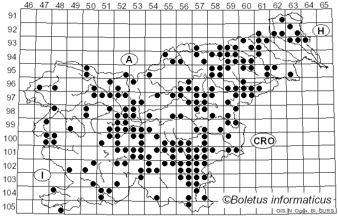 <i>Butyriboletus appendiculatus</i> (Schaeff.) D. Arora & J.L. Frank (2014)