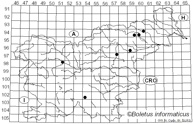 <i>Lepiota rufipes</i> Morgan (1906)