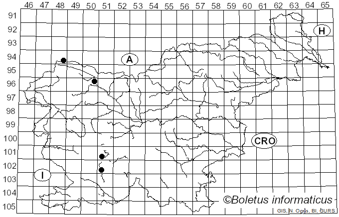 <i>Corinectria fuckeliana</i> (C. Booth) C. González & P. Chaverri (2017)