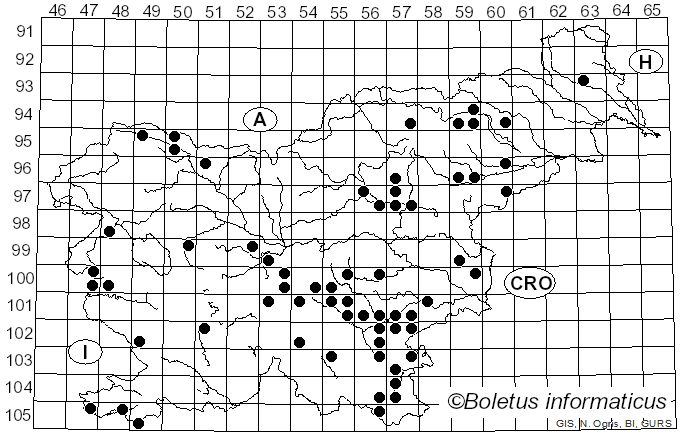 <i>Marasmiellus</i> Murrill (1915)