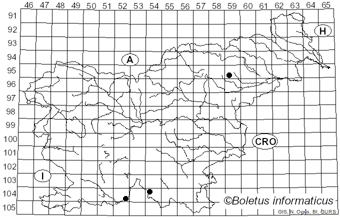 <i>Anisomeridium</i> (Müll. Arg.) M. Choisy (1928)