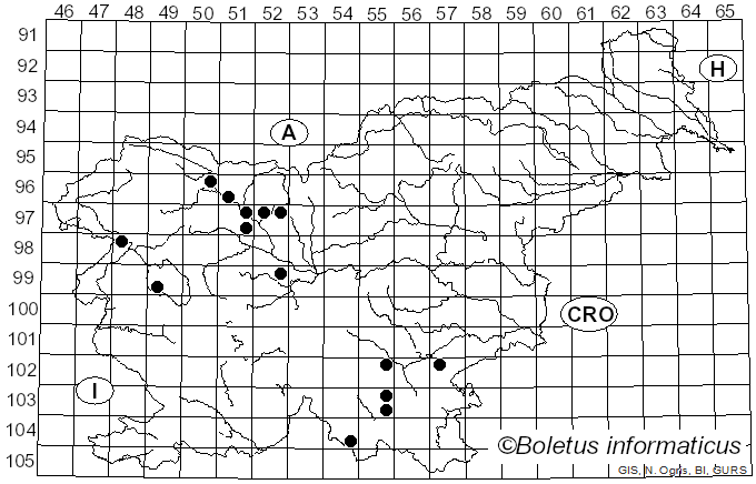 <i>Oxyporus</i> (Bourdot & Galzin) Donk (1933)