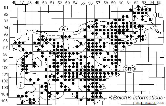<i>Psathyrella</i> (Fr.) Quél. (1872)