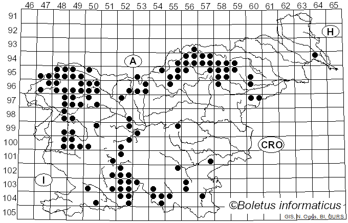 <i>Lecanora</i> Ach. (1809)