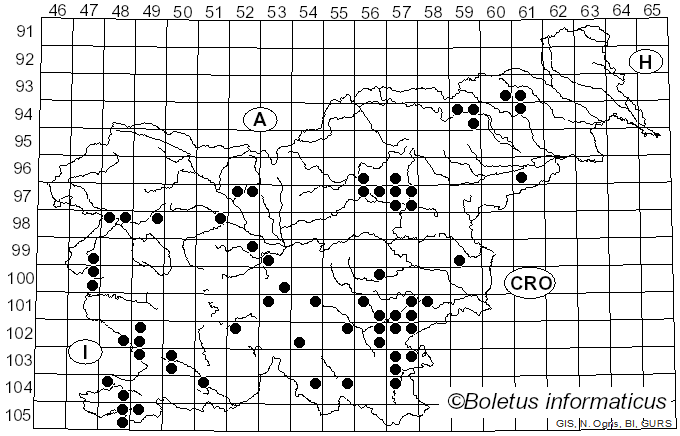 <i>Lactarius azonites</i> (Bull.) Fr. (1838)