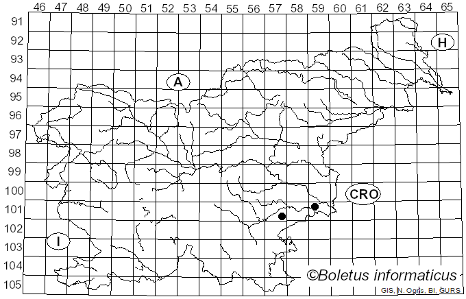 <i>Volvariella fuscidula</i> (Bres.) M.M. Moser