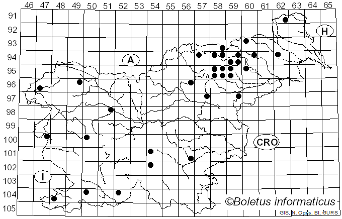 <i>Cystinarius crassus</i> (Fr.) Niskanen & Liimat. (2022)