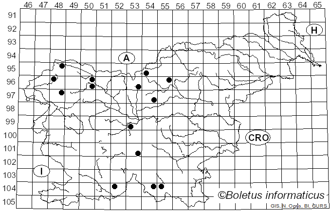 <i>Monochamus saltuarius</i> Gebler (1830)