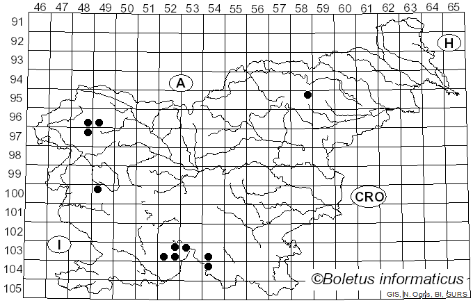 <i>Strigula stigmatella</i> var. <i>stigmatella</i> (Ach.) R.C. Harris (1980)