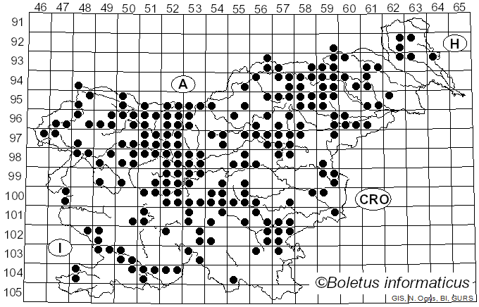 <i>Suillus grevillei</i> (Klotzsch) Singer (1951)
