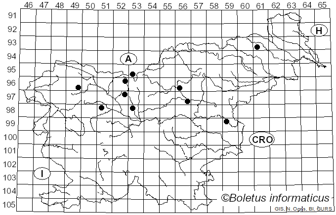 <i>Cystolepiota seminuda</i> (Lasch) Bon (1976)