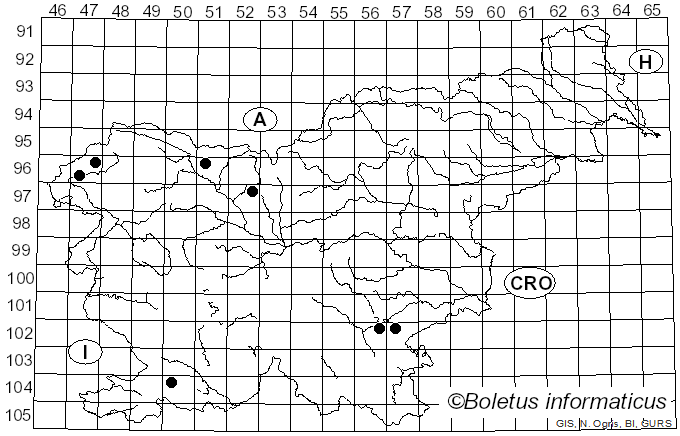 <i>Typhrasa gossypina</i> (Bull.) Örstadius & E. Larss. (2015)