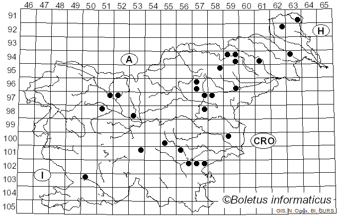<i>Pholiota limonella</i> (Peck) Sacc. (1887)