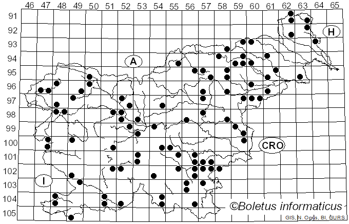 <i>Mycena haematopus</i> (Pers.) P. Kumm. (1871)