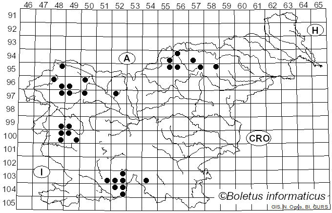 <i>Buellia griseovirens</i> (Turner & Borrer ex Sm.) Almb. (1952)