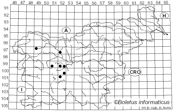 <i>Merodon aeneus</i> Meigen